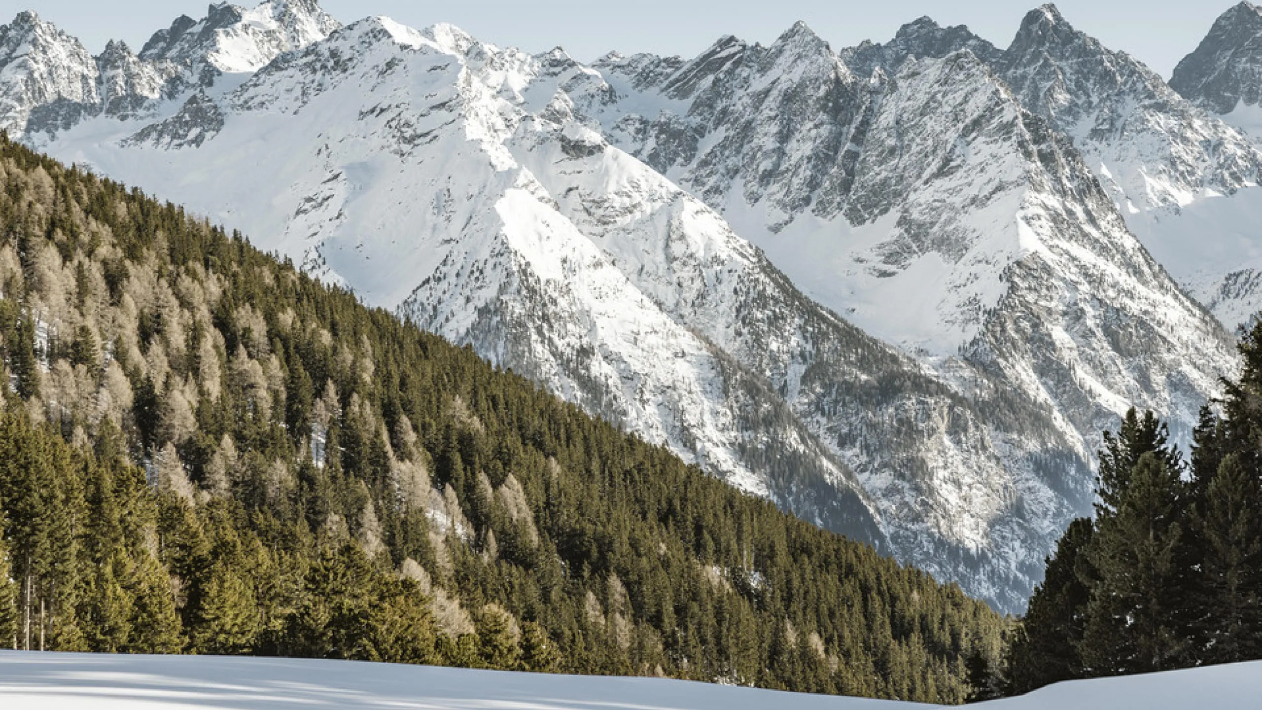-TVB-Tiroler-Oberland-Rudi-Wyhlidal-Skitouren-Aifner-2022_84