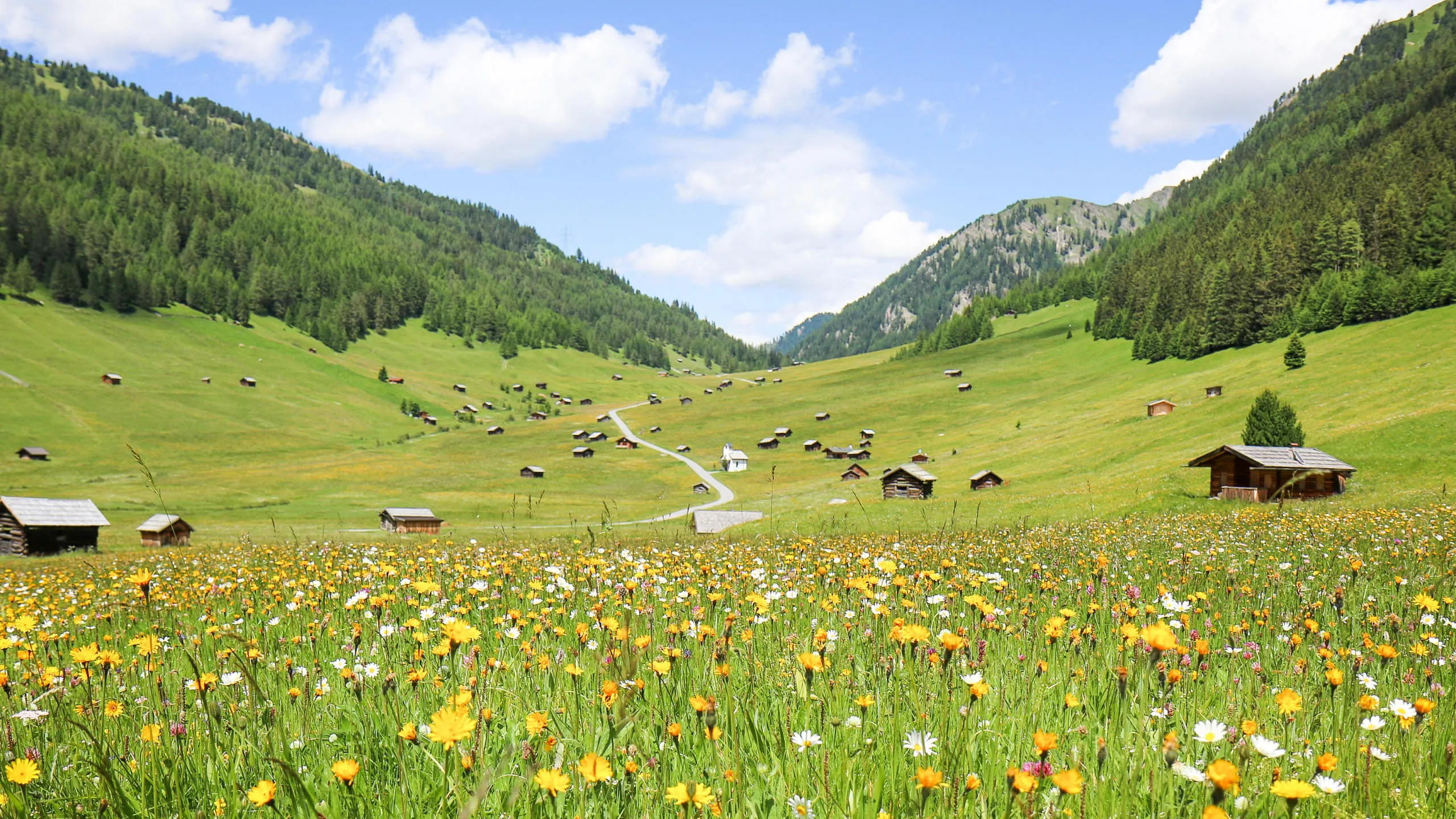 e-TVB-Tiroler-Oberland-Kurt-Kirschner-Tschey-Sommer-2018_3